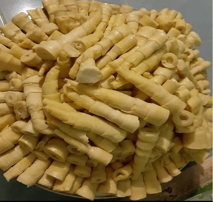 Măng rừng Ô Rang