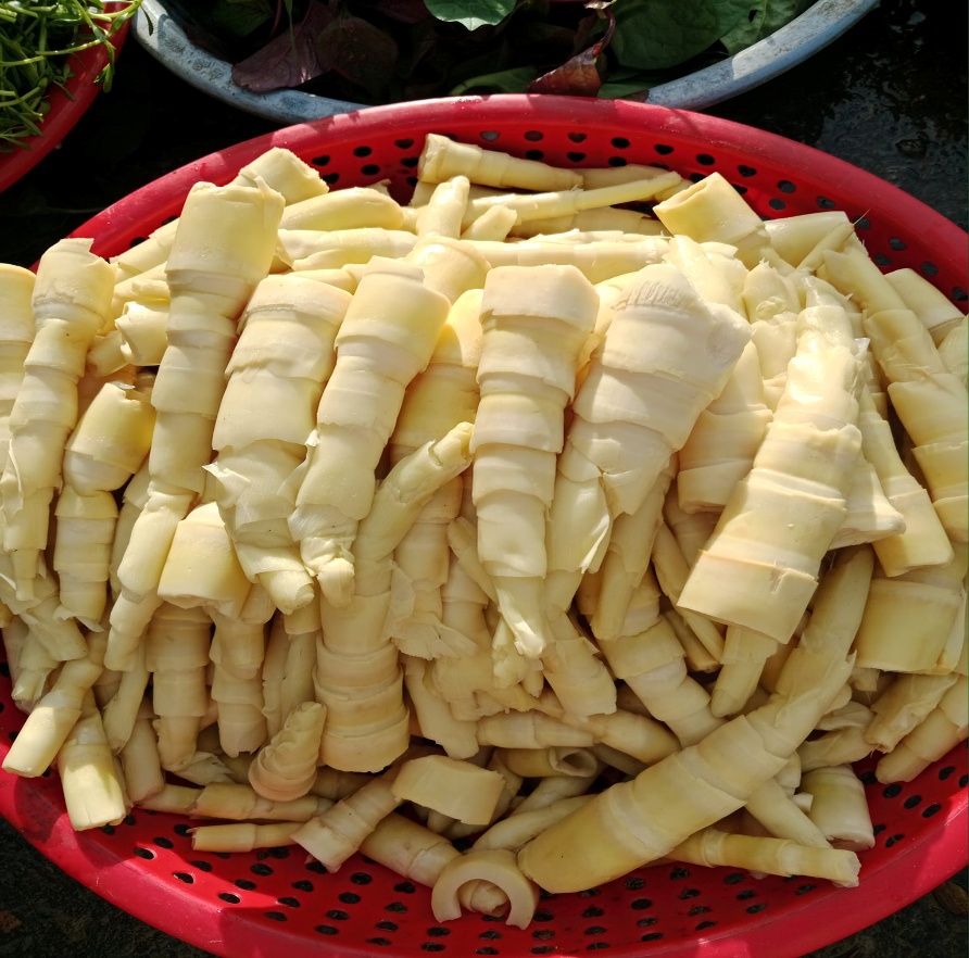 Măng rừng Ô Rang